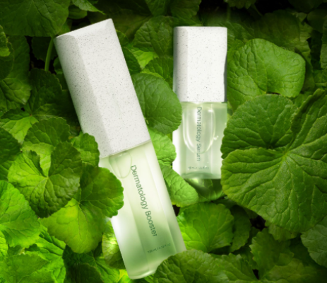 DERMATOLOGY FIRST PACKAGE